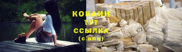 кокс Алексин