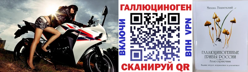 ОМГ ОМГ зеркало  Чусовой  Галлюциногенные грибы Psilocybe 