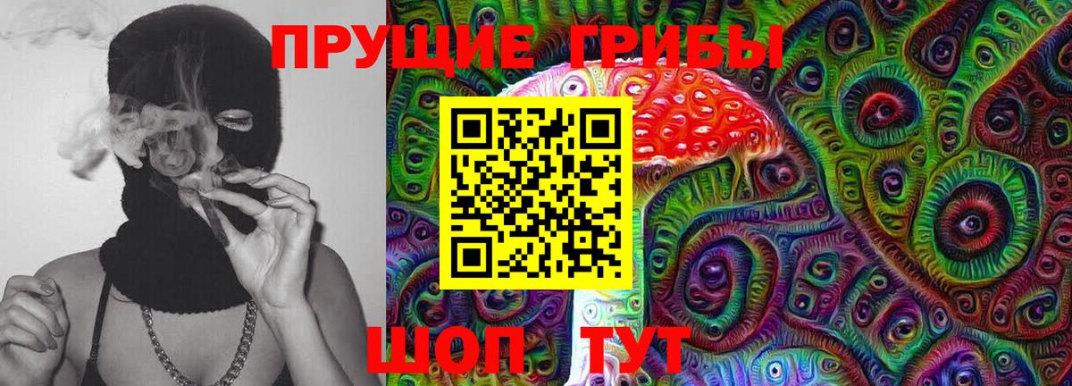 Галлюциногенные грибы Psilocybine cubensis Чусовой